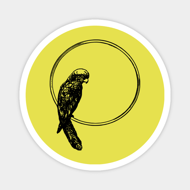 Parrot Perched Circle Magnet by carobaro